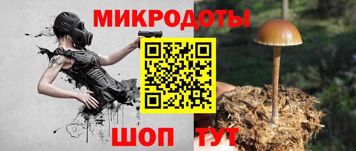 Галлюциногенные грибы MAGIC MUSHROOMS  Вход с VPN  Воркута 